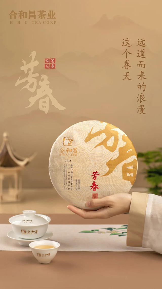 合和昌芳春普洱茶