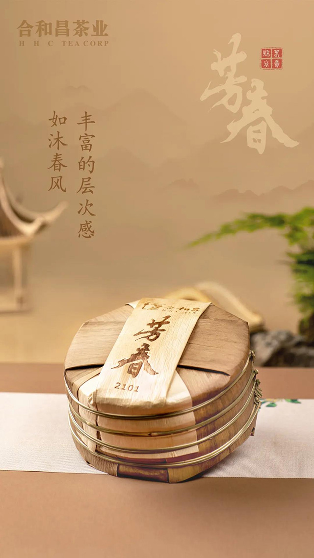 合和昌芳春普洱茶
