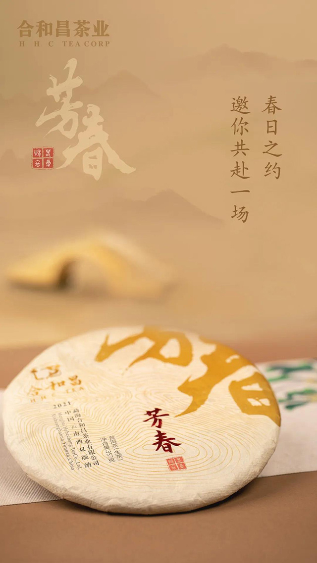合和昌芳春普洱茶