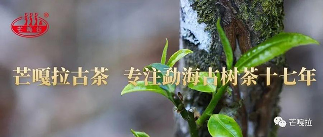 �º�â�����賧
