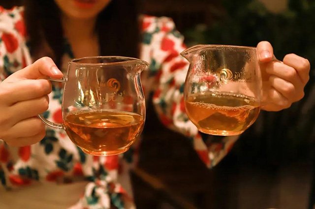 润元昌蓝印普洱茶品鉴