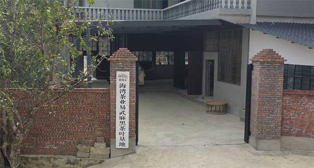 易武麻黑茶山记实