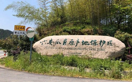 祥源茶六安瓜片绿茶