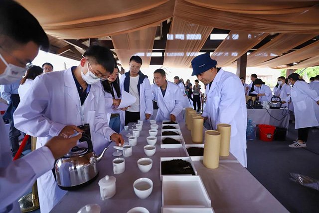 中茶普洱第四届茶王争霸大赛在勐海成功举办