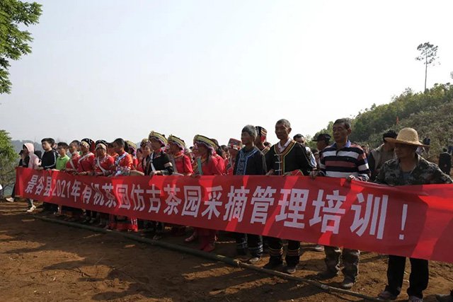 ���������������迪��
