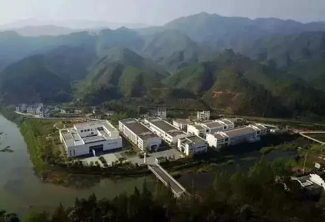 祥源茶 这些祥源茶的“高光时刻”,你都了解吗?