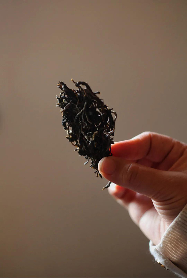 勐麻河荒山大野普洱茶