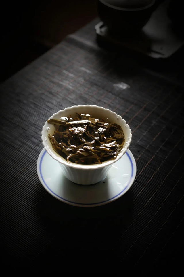 勐麻河荒山大野普洱茶