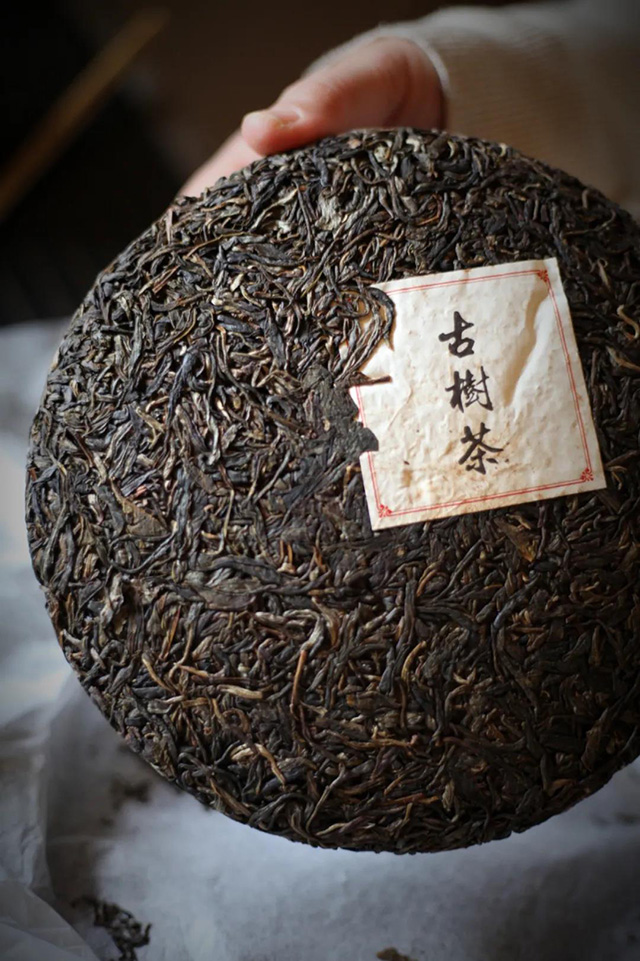 勐麻河荒山大野普洱茶