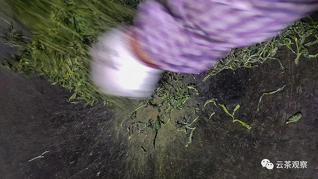 重杀青炒掉茶梗叶上的茶毫毛