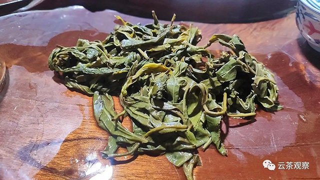 春茶季2021年茶山行见闻