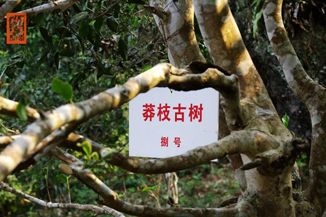 ��Ԫ���������ն���