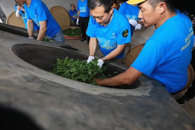 龙润茶茶山行