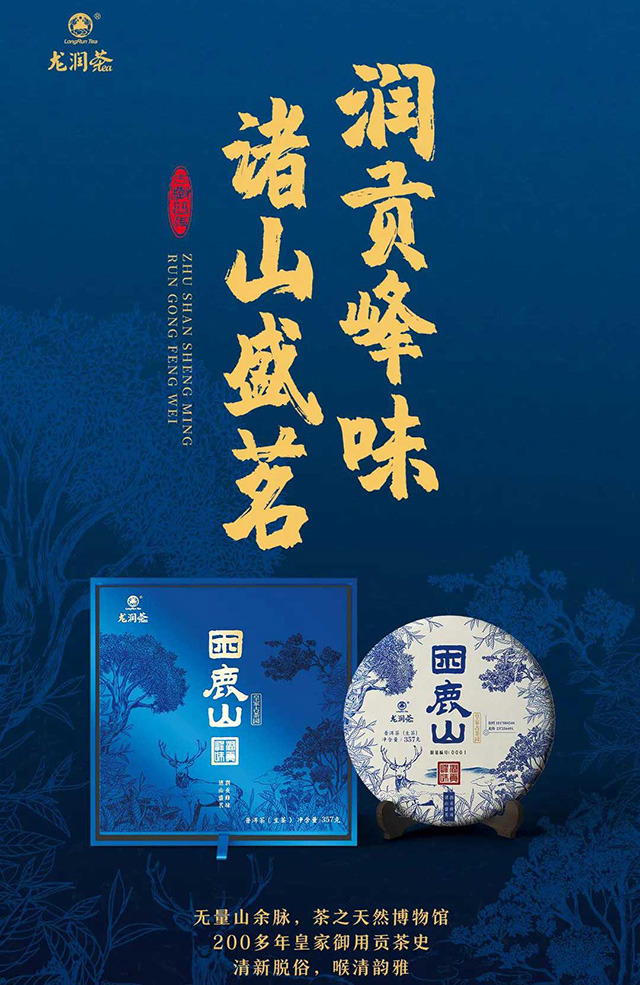 龙润茶茶山行