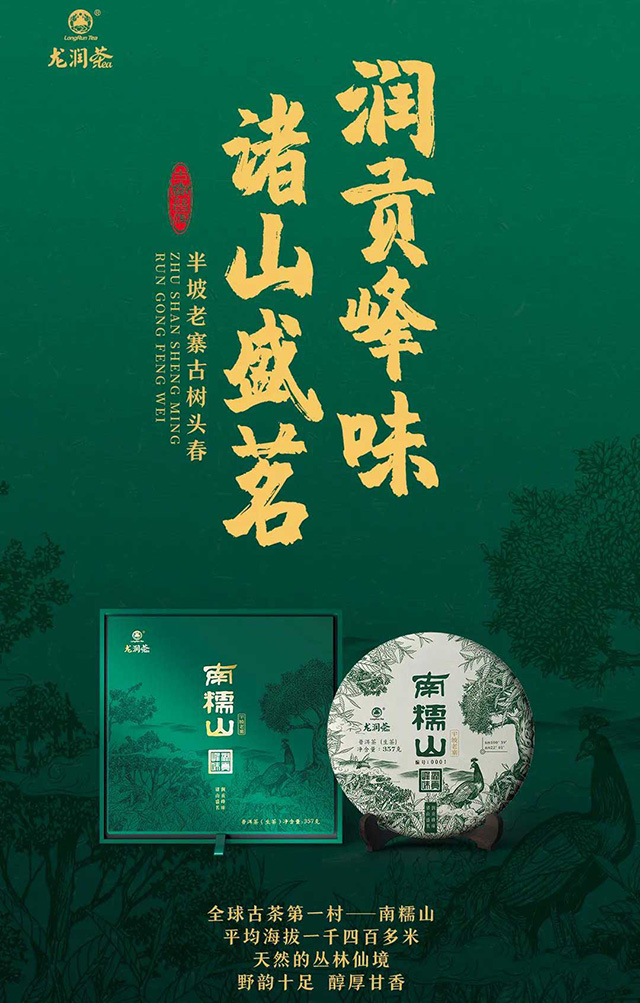 龙润茶茶山行