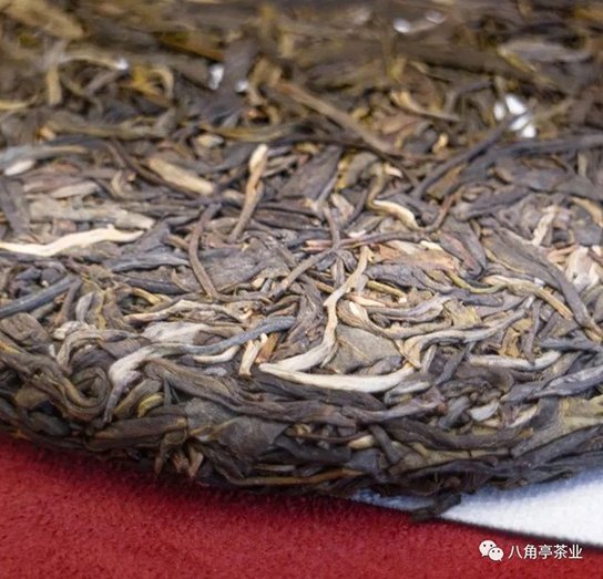 景迈早春乔木茶茶饼