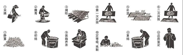 福鼎白茶绿雪芽岁月长歌寿眉