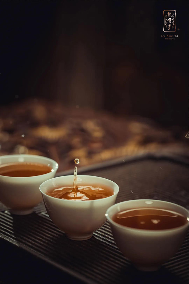 福鼎白茶绿雪芽岁月长歌寿眉
