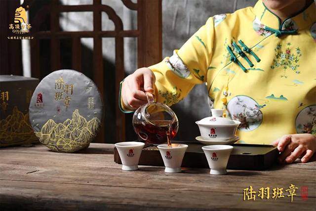 高顶古茶高端普洱茶陆羽班章