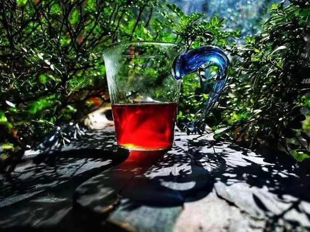 润元昌春意陶然熟茶开汤品鉴