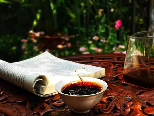 润元昌春意陶然熟茶开汤品鉴