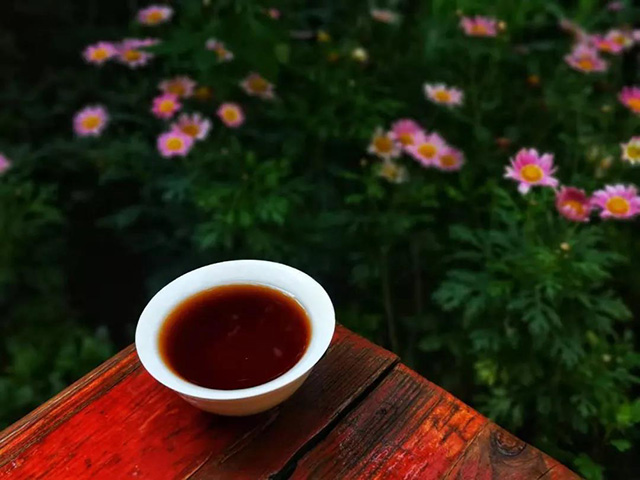 润元昌春意陶然熟茶开汤品鉴