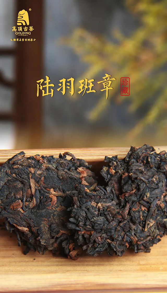 高顶古茶陆羽班章熟茶