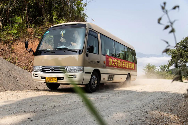 双陈普洱2021年茶山游学之旅