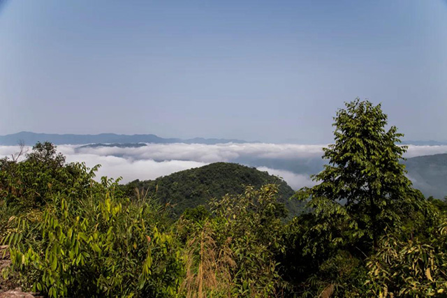 双陈普洱2021年茶山游学之旅