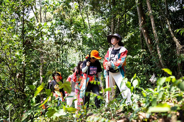 双陈普洱2021年茶山游学之旅