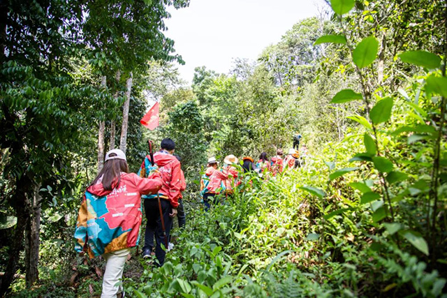双陈普洱2021年茶山游学之旅