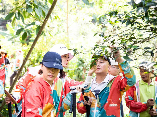 双陈普洱2021年茶山游学之旅