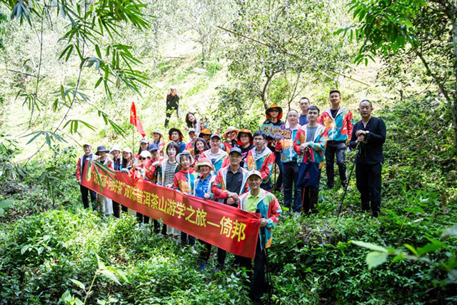 双陈普洱2021年茶山游学之旅