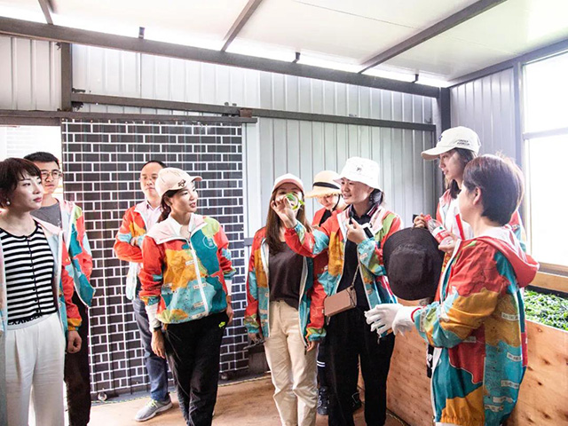 双陈普洱2021年茶山游学之旅