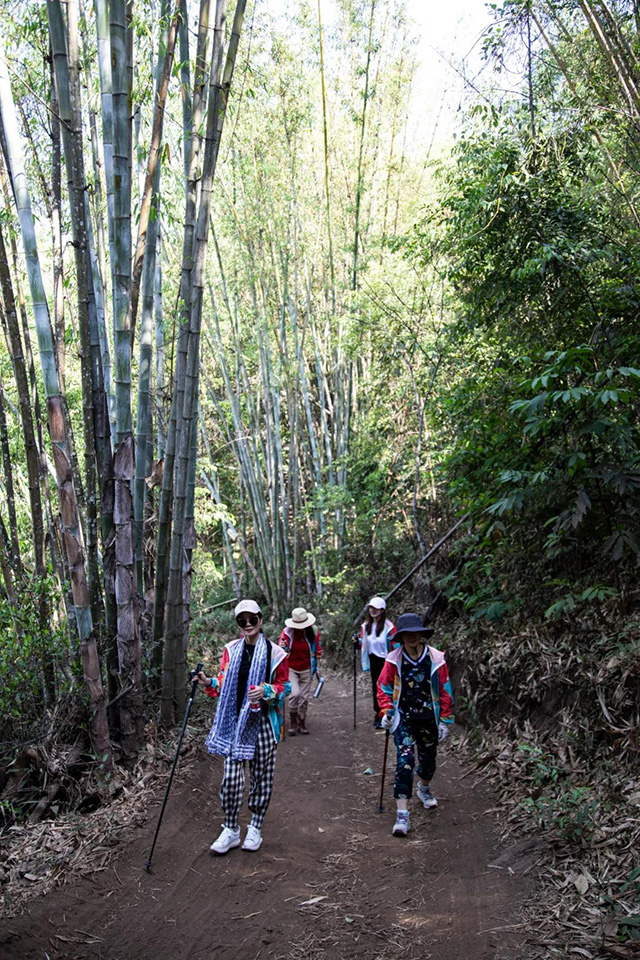 双陈普洱2021年茶山游学之旅