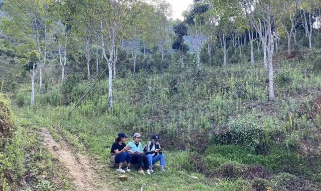 云柯庄园:茶山“醉新闻”普洱篇