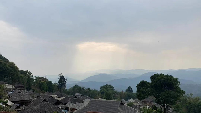 云柯庄园:茶山“醉新闻”普洱篇
