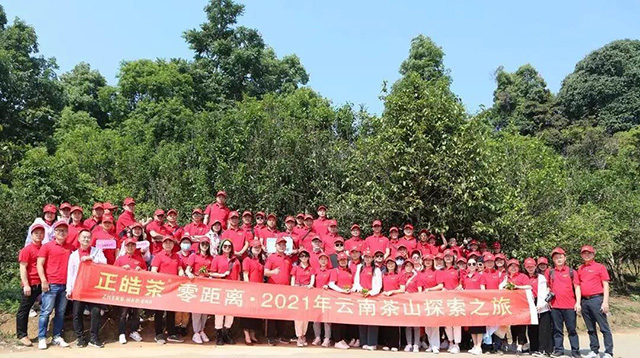 正皓茶2021云南茶山探索之旅