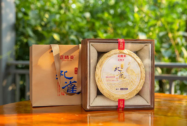正皓茶2021云南茶山探索之旅