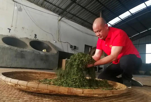 正皓茶2021云南茶山探索之旅