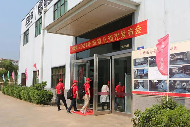 正皓茶2021云南茶山探索之旅