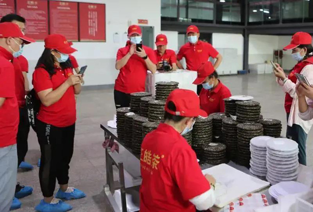 正皓茶2021云南茶山探索之旅