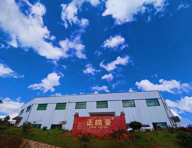 正皓茶2021云南茶山探索之旅