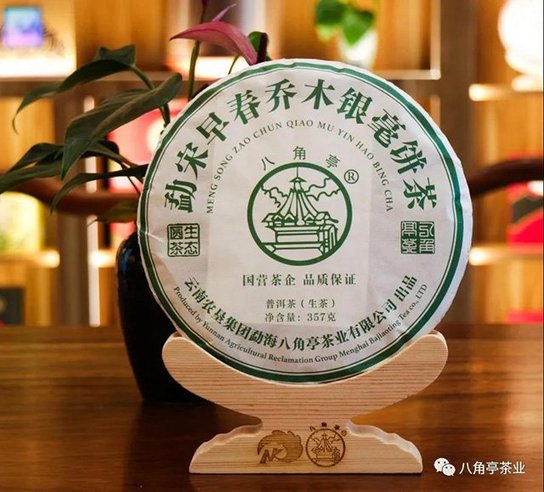八角亭勐宋早春乔木饼茶