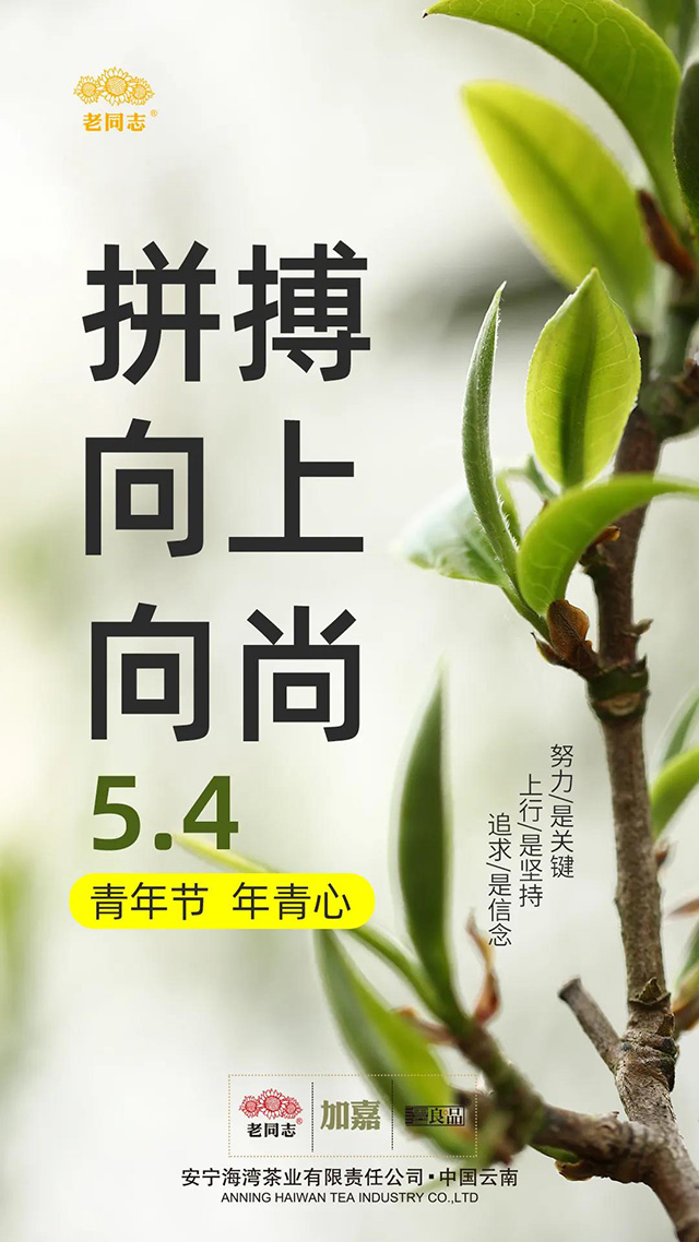 �¾�54�����