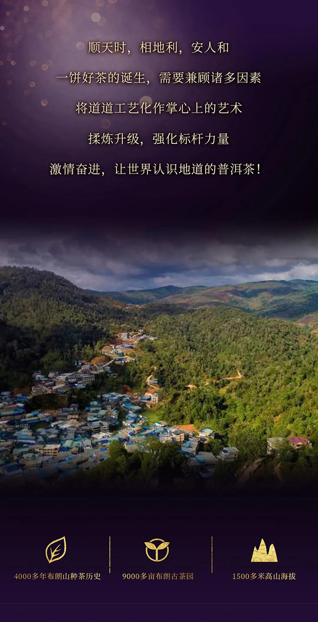 今大福2021紫大象生态青饼