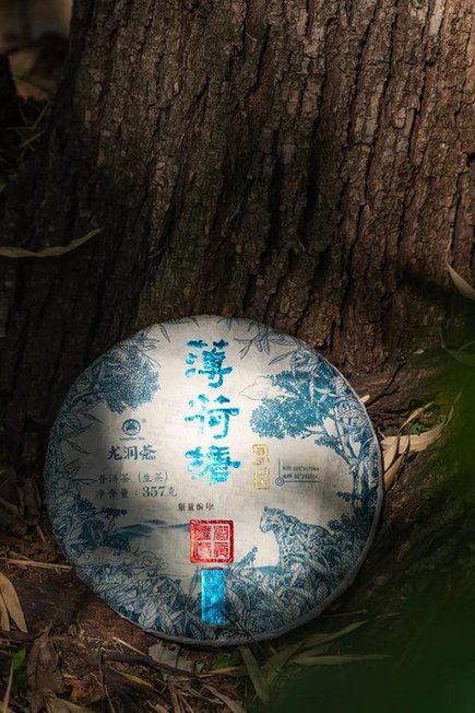 龙润茶薄荷塘普洱茶