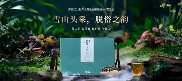 津乔白茶雪无尘