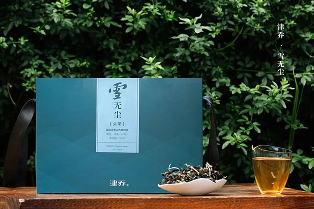 津乔白茶雪无尘