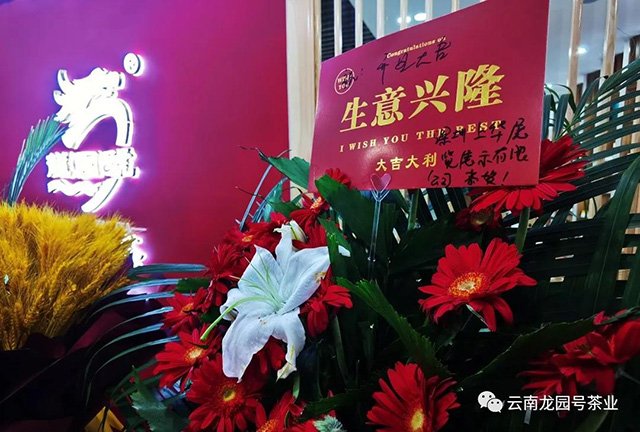 龙园号品牌